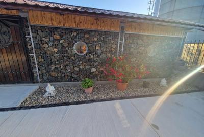 Spațiu comercial, de 120 mp, în Fibiș - 7