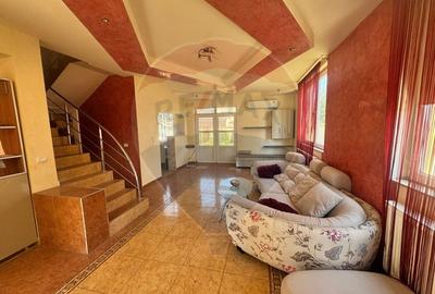 Casa cu 5 camere de inchiriat in cartierul Nicolae Grigorescu - 12
