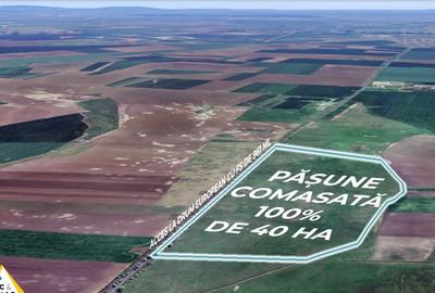 Teren PASUNE de 40ha, Comasat 100% cu FS de 961 ml la Drumul European - 4