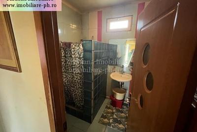 Casa de vanzare - Cocorastii Colt - 12