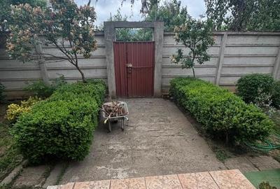 Casa de închiriat 7 camere Sector 4, ideal pentru clinica, gradinita - 9