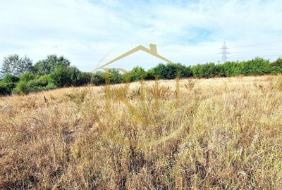 Teren de vânzare – 11.273 mp – zona Plopi, Timișoara Sud. - 2