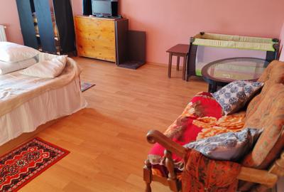 Casa 7 camere libera la vanzare SATU NOU - 10