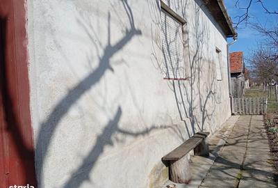 Casă cu 4 camere cu Teren 1400 Mp în Bârsa - 8