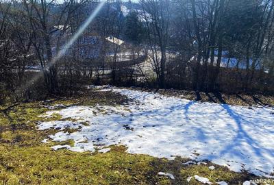 Teren de 10000 mp, în Cornu - 3