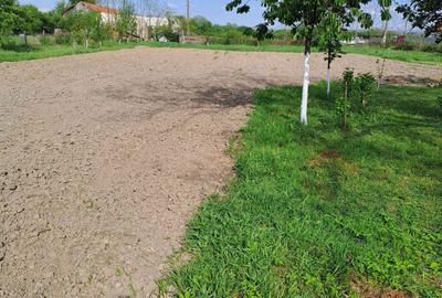 Casă cu 3 camere cu Teren 2877 Mp în Bethausen - 3
