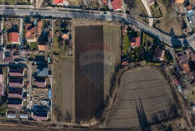 Teren Construcții intravilan de 9000 mp, în Stupini - 11