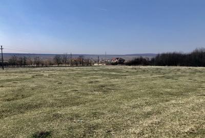 Teren Construcții intravilan de 90000 mp, în Nord