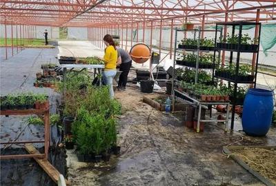 Spațiu comercial, de 1,300 mp, în Blăjenii de Jos - 14