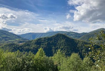 Casă cu 3 camere în Muntele Rece - 7