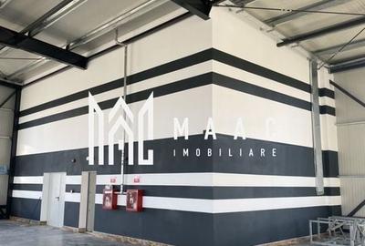 Hală logistică I 1200 mp I Acces TIR I Birouri I Tălmaciu - 4
