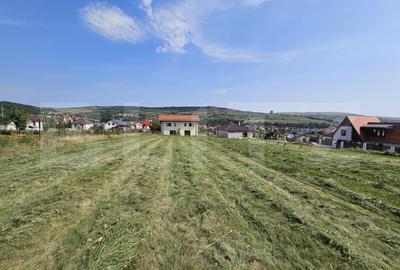 Teren 1705 mp, pentru un duplex si o casa individuala, Chinteni! - 4