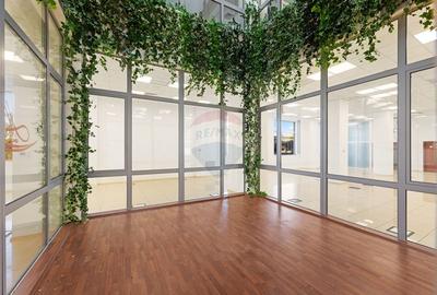 Birou, de 830 mp, în Sud-Vest - 8