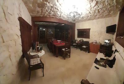 Domeniu  in Prahova- probabil una dintre cele mai frumoase reședințe - 28