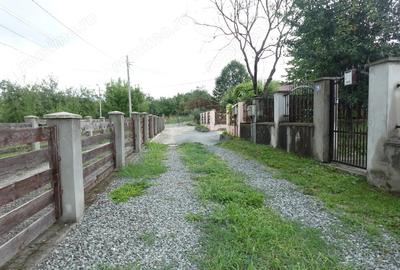 Casa cu 5 camere, de inchiriat, in Baia Sprie - 18