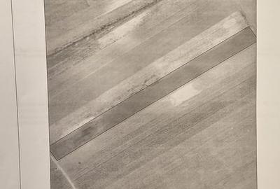 Teren de 10000 mp, în Grădiștea - 4