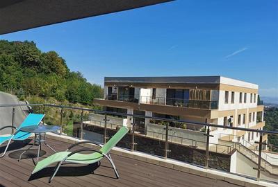 Apartament cu 2 camere decomandat, mobilat în Drumul Poienii - 21