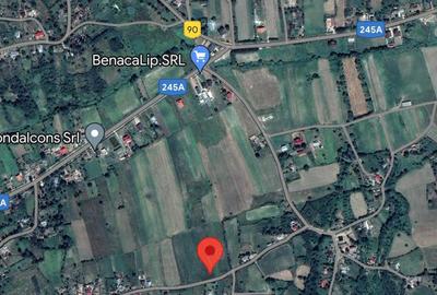 Teren de 2300 mp, în Lipovăț