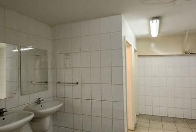 Spațiu comercial, de 6,500 mp, în Central - 16