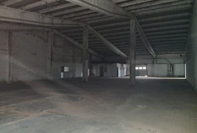 HALA INDUSTRIALA ,DEPOZITARE DE INCHIRIAT - 2