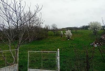 Spațiu comercial, în Coldău - 3