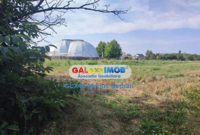 Teren de 8000 mp, în Centură - 1