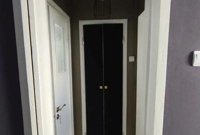 Apartament cu 2 camere semidecomandat, mobilat în Tătărași - 8