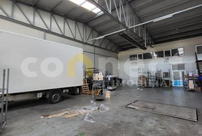 Hala 300mp+birouri 50mp - 7