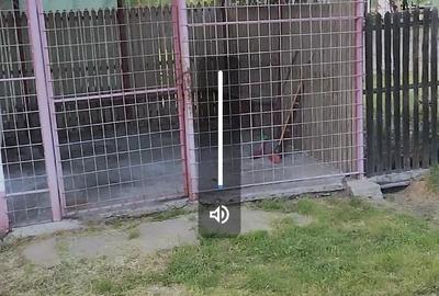 Spațiu comercial, de 20 mp, în Oarja - 3