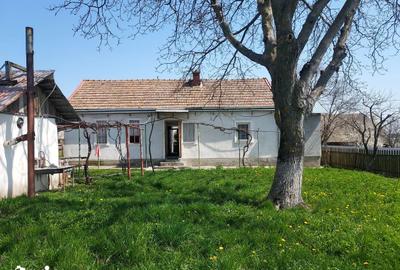 Casă cu 3 camere cu Teren 970 Mp în Central - 1