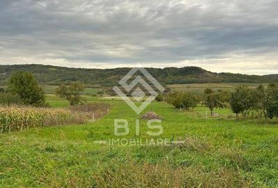 Casa de vanzare in localitatea Sintereag - 1