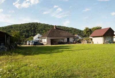 Casa tradi?ionala renovata (2023), 3 anexe, 22.696 mp teren zona Leghin, Neamt - 7