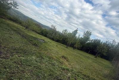 Teren de 4000 mp, în Predeal - 4