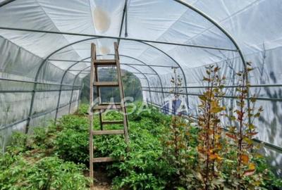 Casa situata in Samarinesti, sat Valea Bisericii - 13