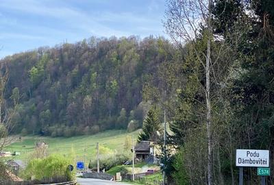 Teren panoramic insorit, utilitati, panta mica si padure, turism sau vacanta - 17