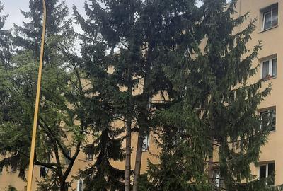 Garsonieră semidecomandată în Gemenii - 2
