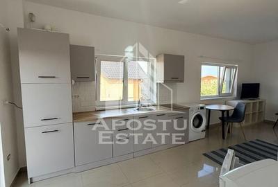 Apartament cu o camera ,Dumbravita - 3