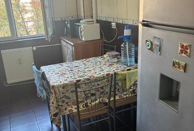 Izvorul Rece Drumul Gazarului 4 camere - 8