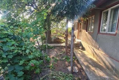 Casă cu 3 camere cu Teren 3200 Mp în Ceamurlia de Jos - 5