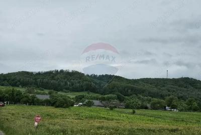 Teren de 1495 mp, în Dobreni - 16