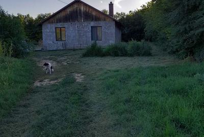 Casă cu 2 camere în Valea - 6