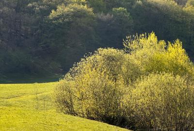 Teren de 500 mp, în Florești - 5