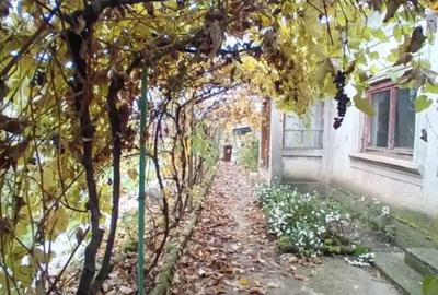 Casă cu 3 camere în Vitănești - 7