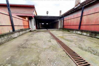 Hala + Teren Aferent ,situat in Targu Jiu, Bld Ecaterina T - 1
