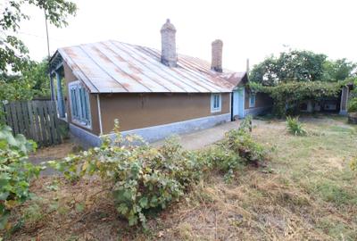 Casa Branistea, zona centrala, teren 1136mp - 9