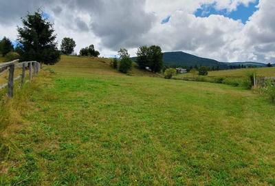 Teren de 6923 mp, în Arieșeni - 2