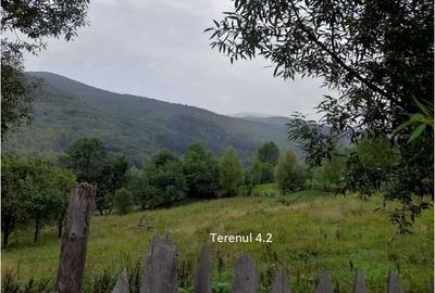 Teren de 24334 mp, în Secăria - 8