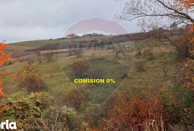 Teren de 68403 mp, în Central