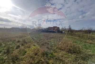 Teren de 1330 mp, în Drăgoiești - 5