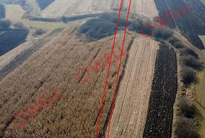 Teren de 6000 mp, în Ilieni - 3